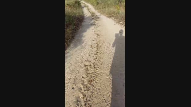 calabroSila 26-06-2024 Recorded Video sexyfeet