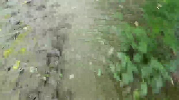Cazzoarabo 27-06-2024 Recorded Video jackoff