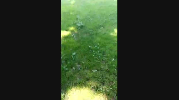 Cazzoarabo 27-06-2024 Recorded Video suckcock