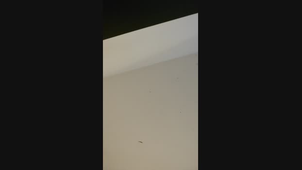 Arnol9988 28-06-2024 Recorded Video naughty