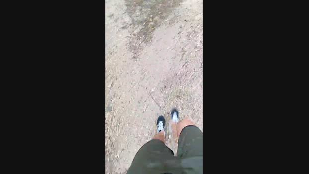 Horny_cruising 27-06-2024 Recorded Video lush