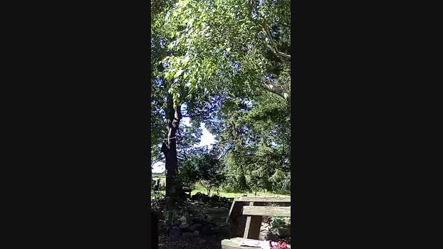 Kinky_canuck1 28-06-2024 Recorded Video kink
