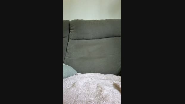PenisAVoir 29-06-2024 Recorded Video blowjob