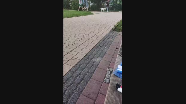 Sachalki 28-06-2024 Recorded Video bigcock