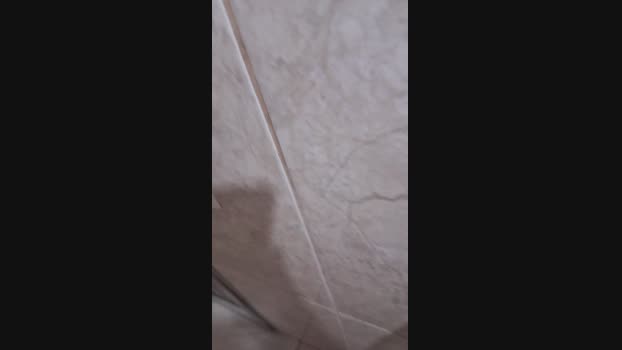 dubledemaridao1 29-06-2024 Recorded Video beauty