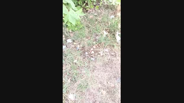 marcoroma57 29-06-2024 Recorded Video sexy