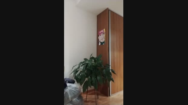 Arlatinohot30 30-06-2024 Recorded Video jerking