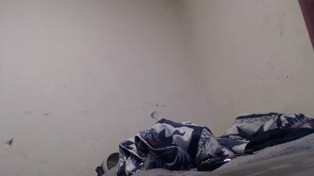 bigBUZZZZ69 01-07-2024 Recorded Video suckcock