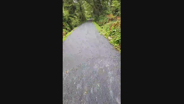 monsterlover 30-06-2024 Recorded Video deep