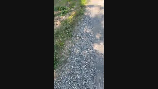sempreilmio 02-07-2024 Recorded Video bigass