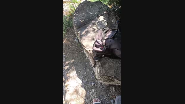 Bullypoy 04-07-2024 Recorded Video gay