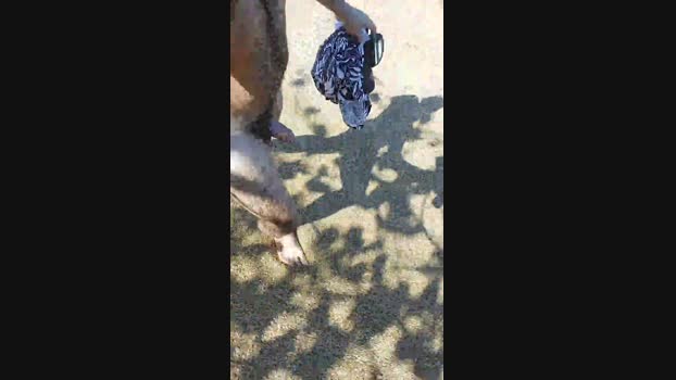 Spix4ever 04-07-2024 Recorded Video toy