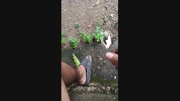 Masterpigyoung 04-07-2024 Recorded Video hardcore