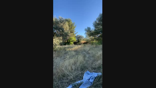 PedRoro 05-07-2024 Recorded Video bigass