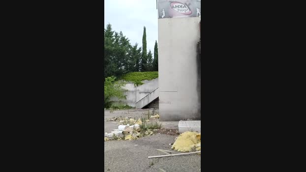 AnthoPassif8484 06-07-2024 Recorded Video beautiful