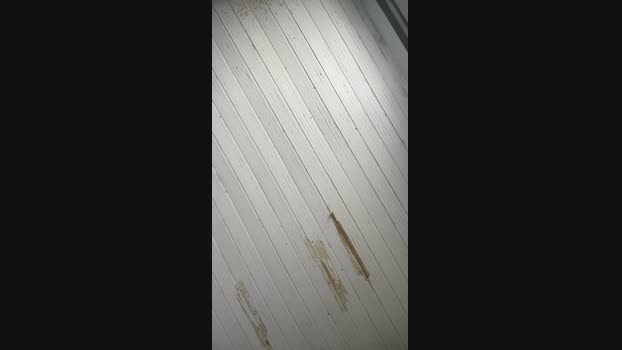brazilhotx 05-07-2024 Recorded Video Ass