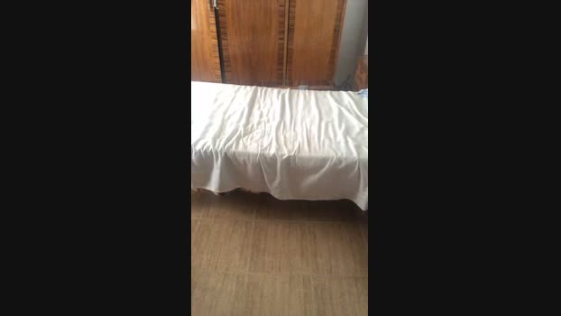 Gringooylatina 07-07-2024 Recorded Video bigtoys