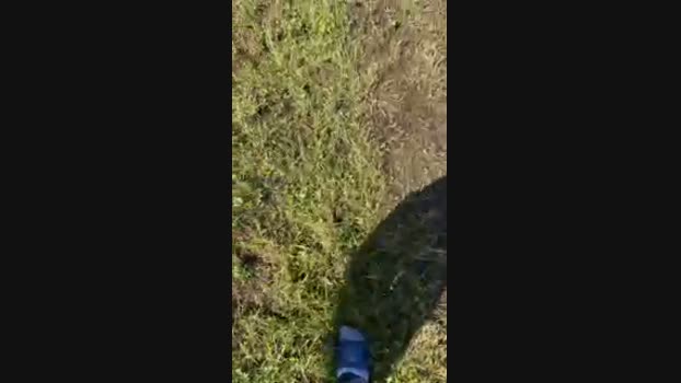 Mistermitch54 07-07-2024 Recorded Video fuckher