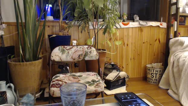 pao_onsen2 07-07-2024 Recorded Video amateur