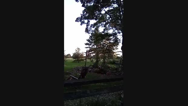 Kinky_canuck1 08-07-2024 Recorded Video bigballs