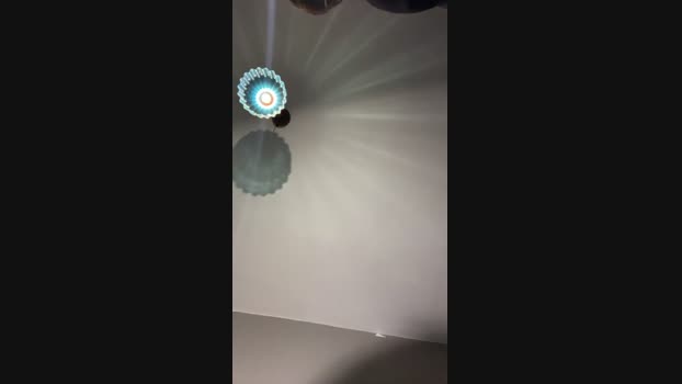Pollon29_cm 07-07-2024 Recorded Video deep