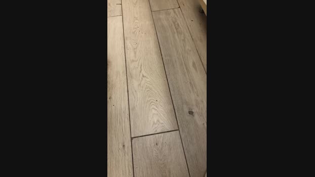 ericperez5 08-07-2024 Recorded Video Recorded