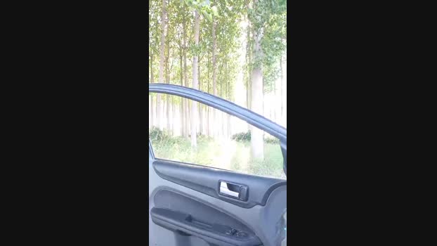 Agataperra35 08-07-2024 Recorded Video gay