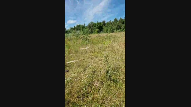 elblover 09-07-2024 Recorded Video lick