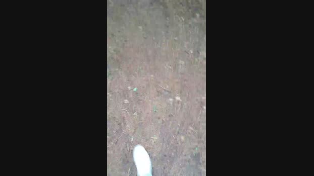 hotbody18y 09-07-2024 Recorded Video sexybody
