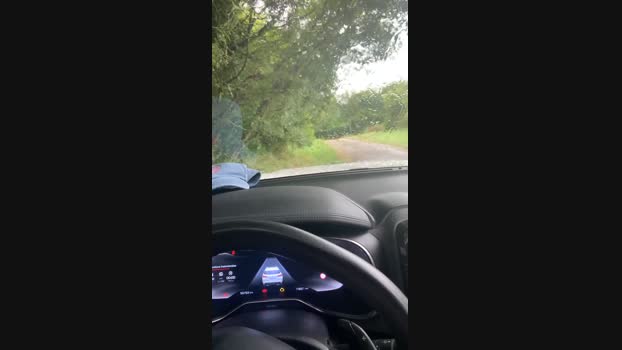 lulu1896 09-07-2024 Recorded Video fingers