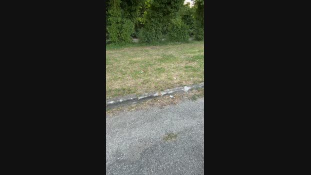 JOREDD 09-07-2024 Recorded Video hardcock