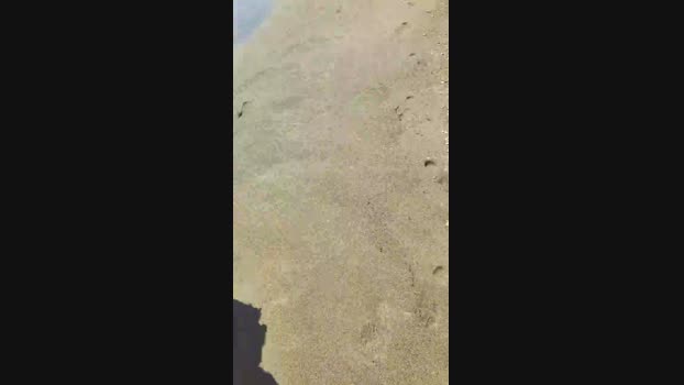 Paquitobaby 11-07-2024 Recorded Video big