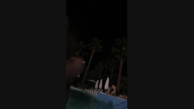 fusiello1 11-07-2024 Recorded Video fuckhard