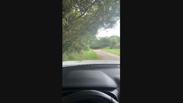 lulu1896 11-07-2024 Recorded Video big