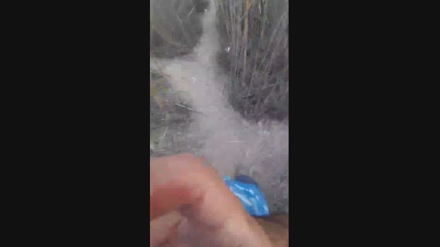 El_ceco 11-07-2024 Recorded Video toys