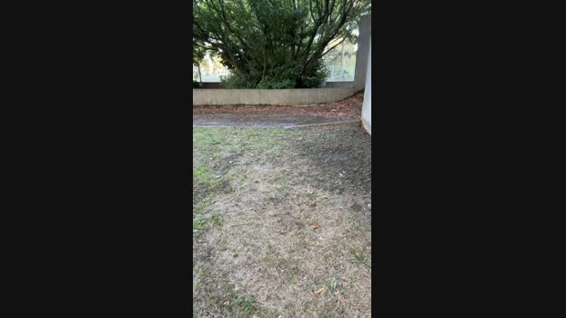 JOREDD 11-07-2024 Recorded Video jackoff