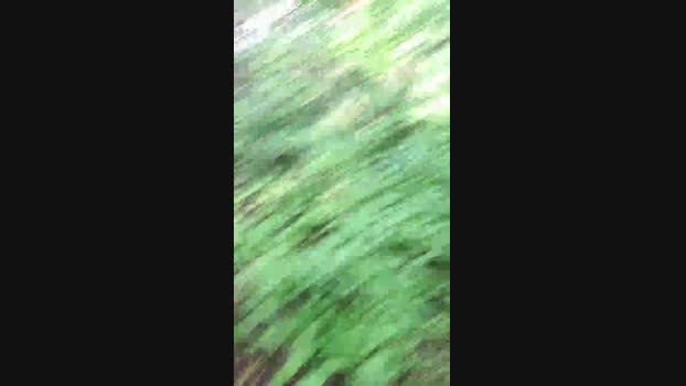 Outdoorgeil1 11-07-2024 Recorded Video gay