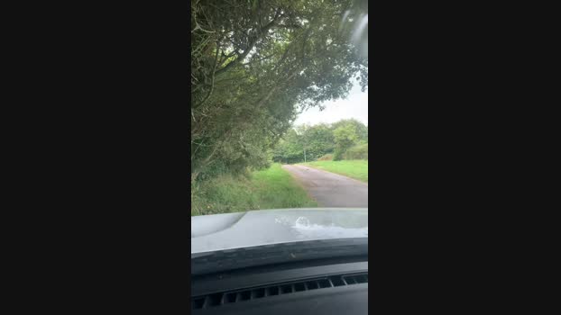 lulu1896 12-07-2024 Recorded Video orgasm