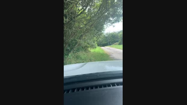 lulu1896 12-07-2024 Recorded Video orgasm