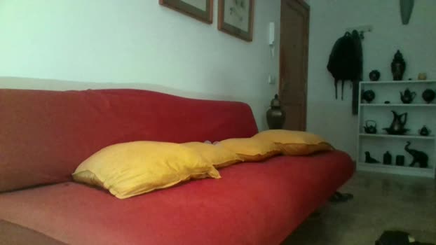 sanchez8585 12-07-2024 Recorded Video Webcam
