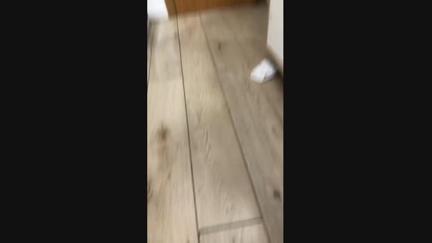 ericperez5 12-07-2024 Recorded Video ass