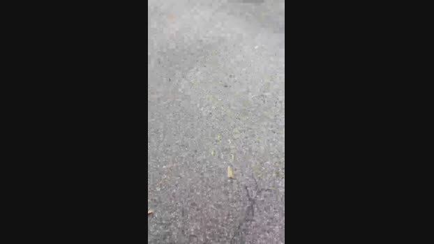 secretlive64 13-07-2024 Recorded Video toy