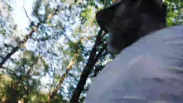 Hotstier73 14-07-2024 Recorded Video big