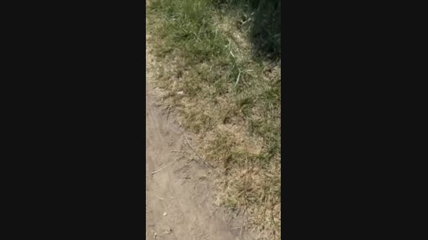 JOREDD 14-07-2024 Recorded Video fuckass