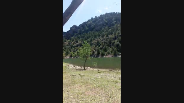 Dandy04 15-07-2024 Recorded Video fuckme