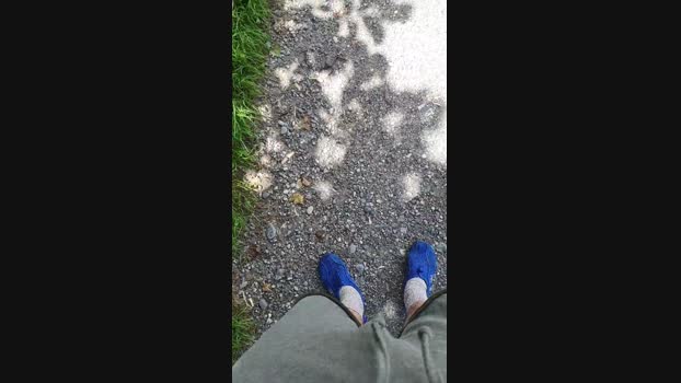 Minipic 15-07-2024 Recorded Video bigtoys