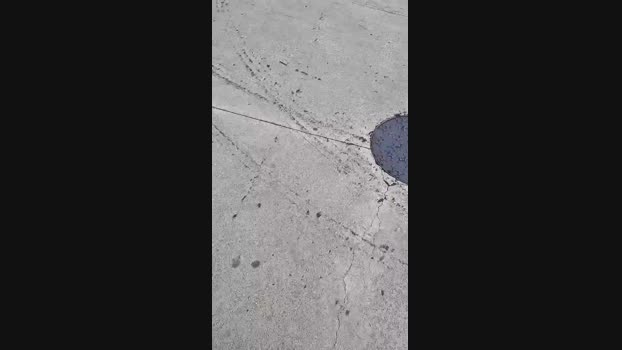 Nicolive2024 15-07-2024 Recorded Video amateur
