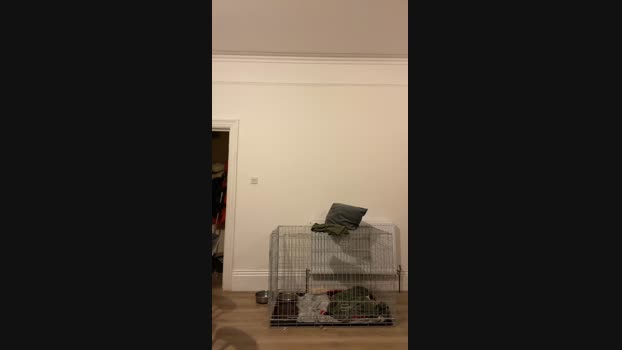 Spencerchase7 15-07-2024 Recorded Video deepthroat