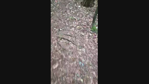 Outdoorgeil1 16-07-2024 Recorded Video fuckhard
