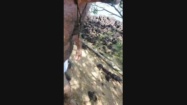 Spix4ever 18-07-2024 Recorded Video fuck